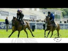 Ride the Investec Derby course with Frankie Dettori & Sir Anthony McCoy