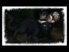 Animator Tribute | Коты Воители | Пепелица | Это не любовь...
