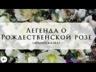 Легенда о Рождественской розе (Сельма Лагерлёф) / аудиосказка