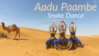 Aadu Pambe: Snake Dance
