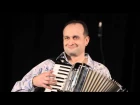 Аккордеонист Юрий Тертычный - вальс "Домино", музыка - Louis Ferrari.
