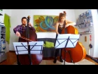 A Shot in The Dark- H. Mancini ( Acoustic Double bass duo)