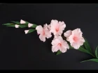 ABC TV | How To Make Gladiolus Flower From Crepe Paper - Craft Tutorial