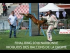 Iroquois des Balcons de la Drome - Final ring 2018 Narbonne