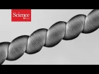 These tangled carbon nanotubes can harvest energy directly from breathing and ocean waves