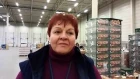 Особенности работы в Польше на складах ID Logistic от АМ Лингвиста