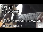 Тимур Муцураев - Твоя нежная походка (видео урок на гитаре) Разбор как играть