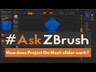 #AskZBrush - "How does the Project On Mesh Slider for the grid background images help ?"