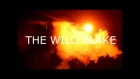 The Wild Blake