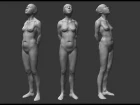 Zbrush sculpting - Female anatomy study