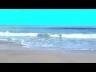 Nikl Leb - Dj ocean sound beach for dreams