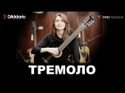 Урок классической гитары №10. «Тремоло». (Классическая гитара для начинающих муз...