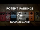 How To Sound Like David Gilmour of Pink Floyd Using Pedals | Potent Pedal Pairings