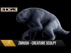Zbrush 4r7 Sculpting Tutorial - Lizard / Frog Quadraped Creature HD