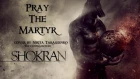 Shokran - Pray The Martyr (bass cover by Niki)