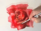 How to Paint a Red Rose in Watercolours by Trevor Waugh