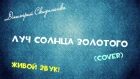 Дмитрий Скиданенко - Луч Солнца Золотого (Cover) (ЖИВОЙ ЗВУК!)