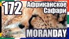 Moran Day 172 - Африканское Сафари (ЮАР) 