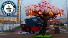 Largest LEGO® brick cherry blossom tree - Guinness World Records