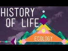 The History of Life on Earth - Crash Course Ecology #1