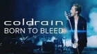 coldrain - Born to Bleed (Official Music VIdeo)
