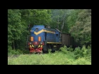 ТЭМ2 2021 в тяге выезжает из леса с грузовым поездом. Перегон Заводская - пост 2 км.