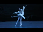 DVD & Blu-ray - Swan Lake - Bolshoi Ballet - Pas de Deux - Zakharova - Rodkin