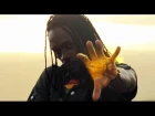 Tydal Kamau - Babylon Can't Get Away [On The Corner Riddim | Offical Video 2015]