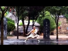 Shaolin Xinyi Quan by Master Shi Miaozhi