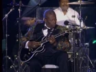 BB King - Bad Case of Love HD