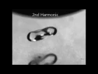 Киматика 3D. Звуковая левитация - Cymatics 3D. Sound levitation.◄КИМАТИКА ☼ ЗВУКА►