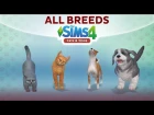 Overview of ALL BREEDS / The Sims 4 Cats & Dogs