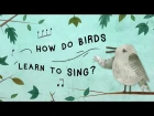 How do birds learn to sing? - Partha P. Mitra