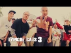TYPICAL CATS - The Crown