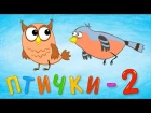 ПТИЧКИ 2 - Обучающая и развивающая песенка для детей - Мультик для малышей про птиц