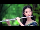 Китайская красивая песня  Beautiful Chinese Music Traditional 2