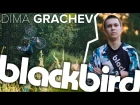 Dima Grachev - blackbird PROFILE 2017