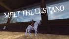MEET THE LUSITANO | ANIMATION | STAR STABLE ONLINE