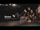 Shane [highlights] // .stance // Massive Monkees Day 2017