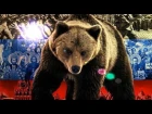 Михаил Гулько - Русский медведь