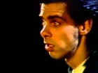 Nick Cave & The Bad Seeds  — The Singer