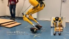 Feedback Control for Autonomous Riding of Hovershoes by a Cassie Bipedal Robot