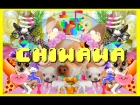 Just Dance 2016 - Chiwawa Official Music Video Anne Horel - Ubisoft SEA
