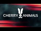 Cherry Animals - Why? (21/10/2016 в Москве @ Джао Да)