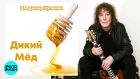 Владимир Кузьмин - Дикий мёд (2018)