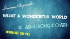 Дмитрий Скиданенко - What A Wonderful World (Louis Armstrong Cover) (ЖИВОЙ ЗВУК!)