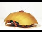Cockroach robots to the rescue! cockroach robots to the rescue!