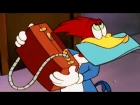 Woody Woodpecker Show | Spy-Guy | 1 Hour Woody Woodpecker Compilation | Cartoons For Children