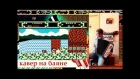 Сыграл на баяне DuckTales на NES, Денди | I've played in accordion, Russian version