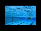 Fast Swimming Techniques - Butterfly Stroke